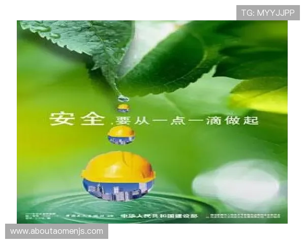 金沙娱乐安全保障措施详解确保玩家资金与信息安全无忧